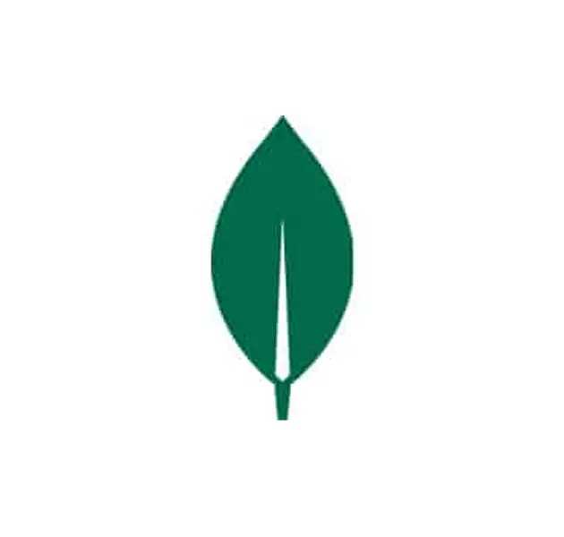 MongoDB (Atlas)
