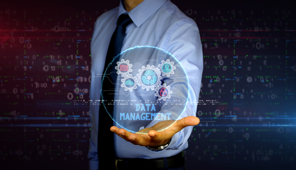 data management pain points