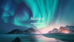 Aurora borealis over snowy mountains at night.