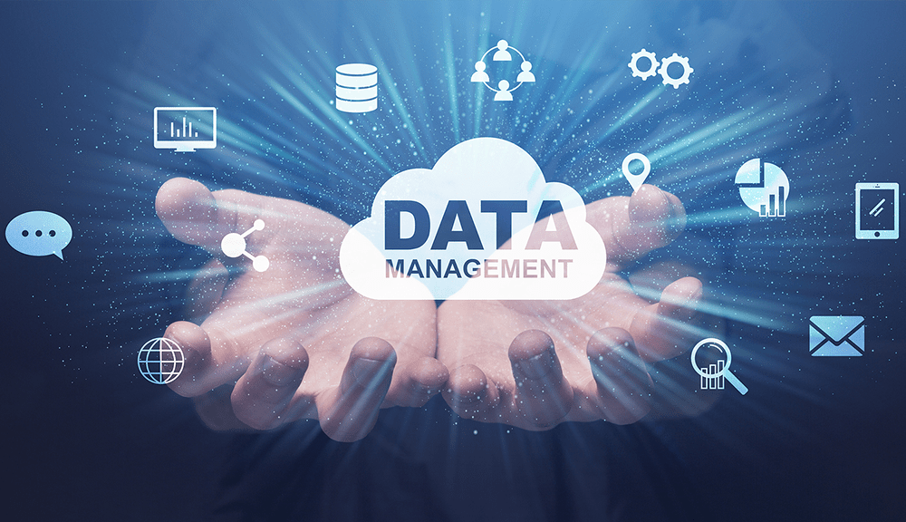 Data Management For Success