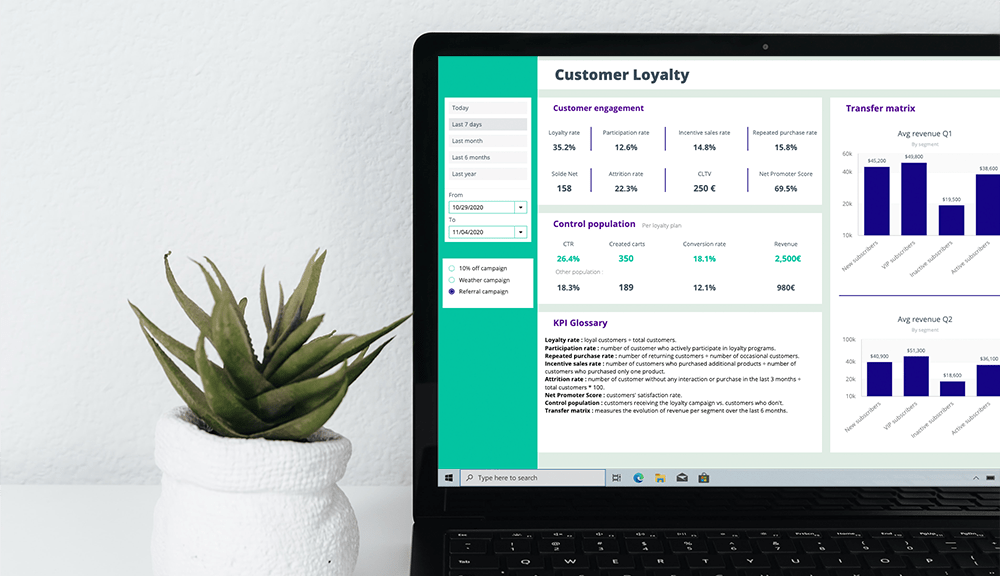 Data Visualization Customer Loyalty