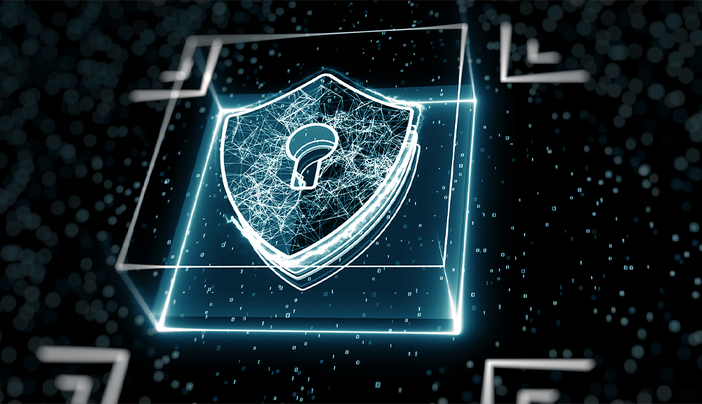 Difference Between Data Privacy Security